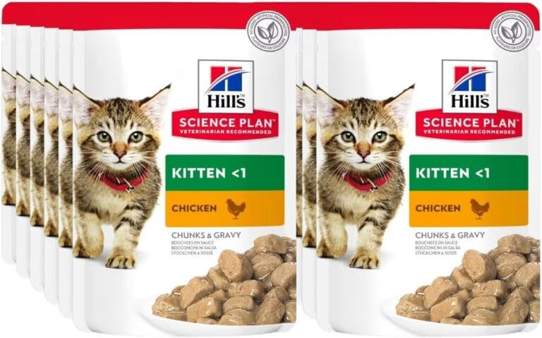 Hill’s Feline Kitten Chicken – comida para gatitos <span class="lama-new">Nuevo</span>